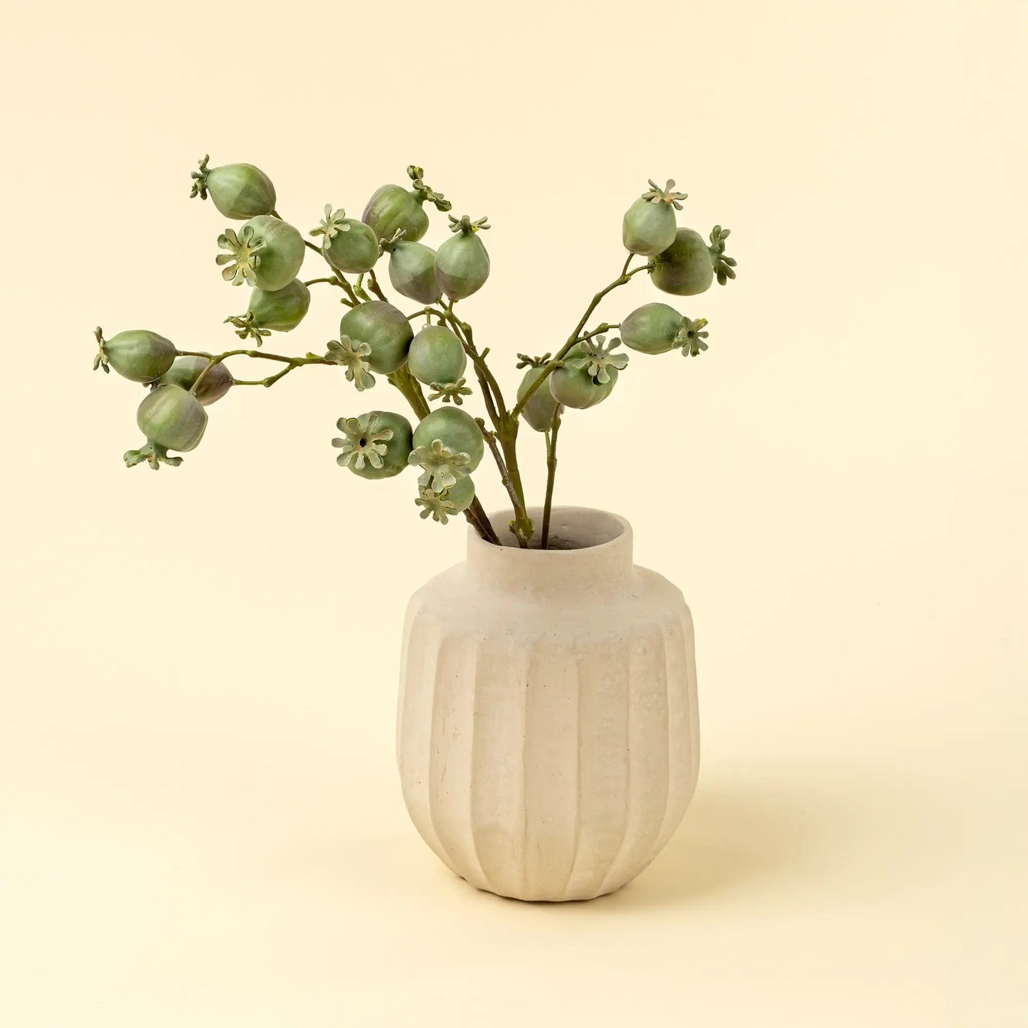 Green Poppy Pod Branch - Petite Thuet & Co.