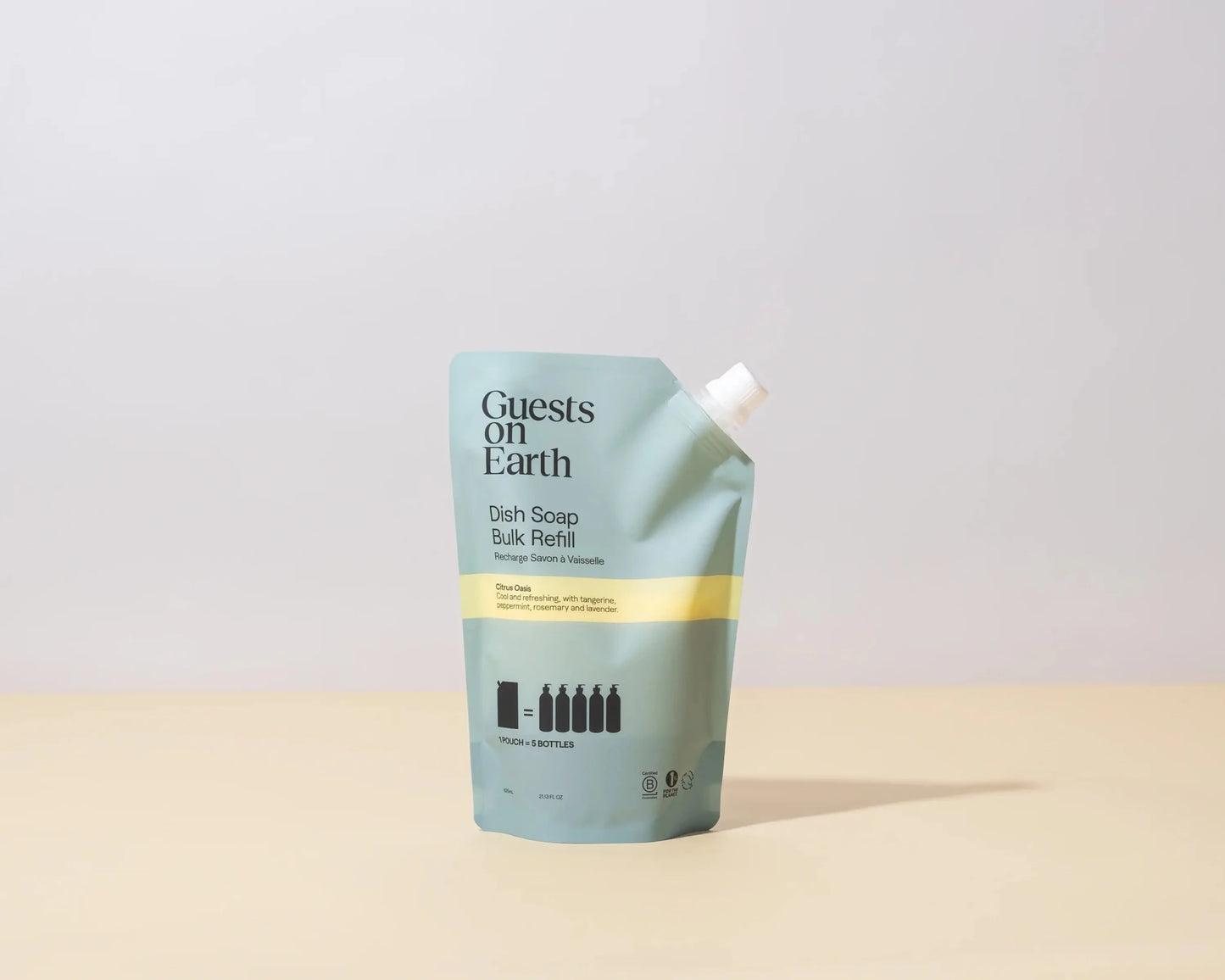 Guests on Earth Dish Soap Bulk Refill – Citrus Oasis - Petite Thuet & Co.