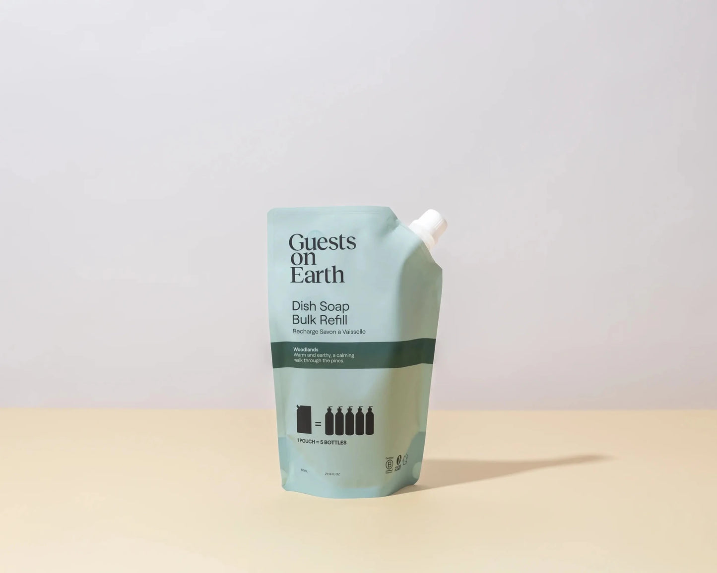 Guests on Earth Dish Soap Bulk Refill – Woodlands - Petite Thuet & Co.