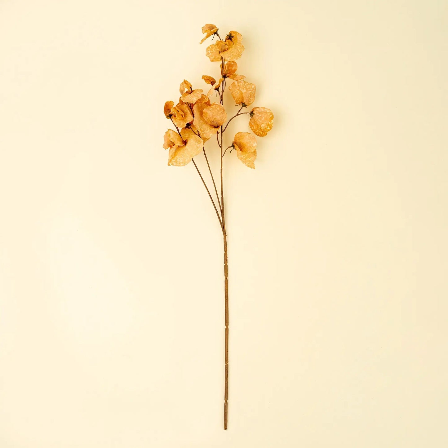 Yellow Sweet Pea Floral Stem - Petite Thuet & Co.