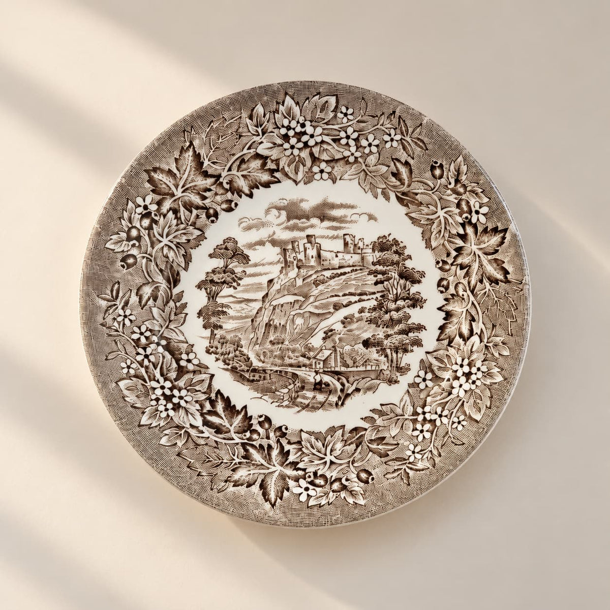 Lucky Find: Vintage English Ironstone Saucer Plate