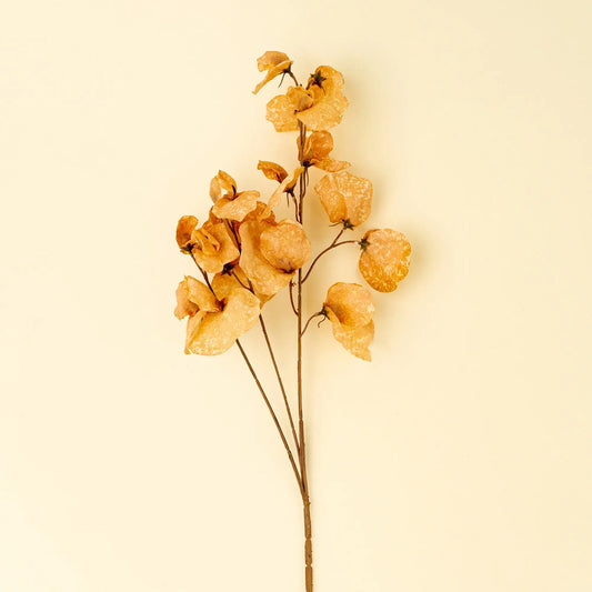 Yellow Sweet Pea Floral Stem