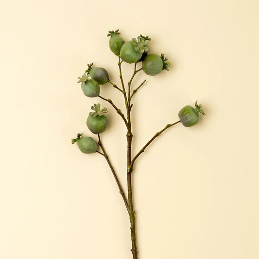 Green Poppy Pod Branch - Petite Thuet & Co.