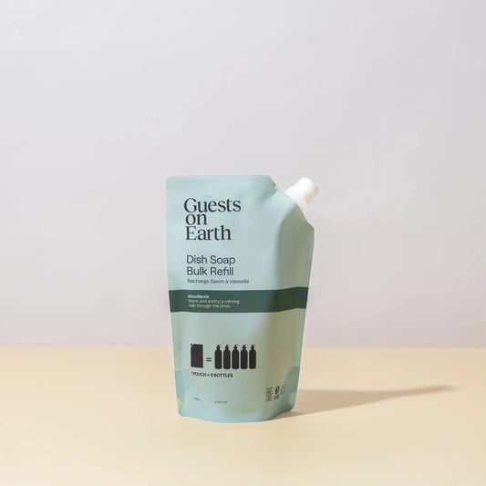 Guests on Earth Dish Soap Bulk Refill pouch in a pale mint green color with black text and a white spout, standing on a light beige surface against a neutral light gray background.