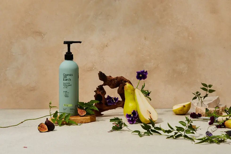 Guests on Earth Laundry Detergent – Green Hinoki - Petite Thuet & Co.