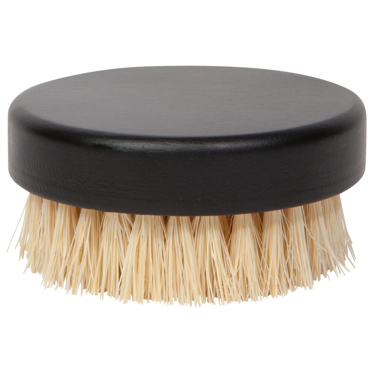 Palm Dish Brush - Petite Thuet & Co.