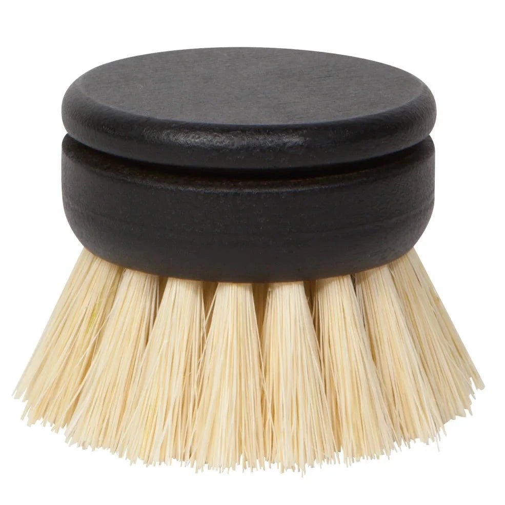 Replacement Dish Brush Head - Petite Thuet & Co.