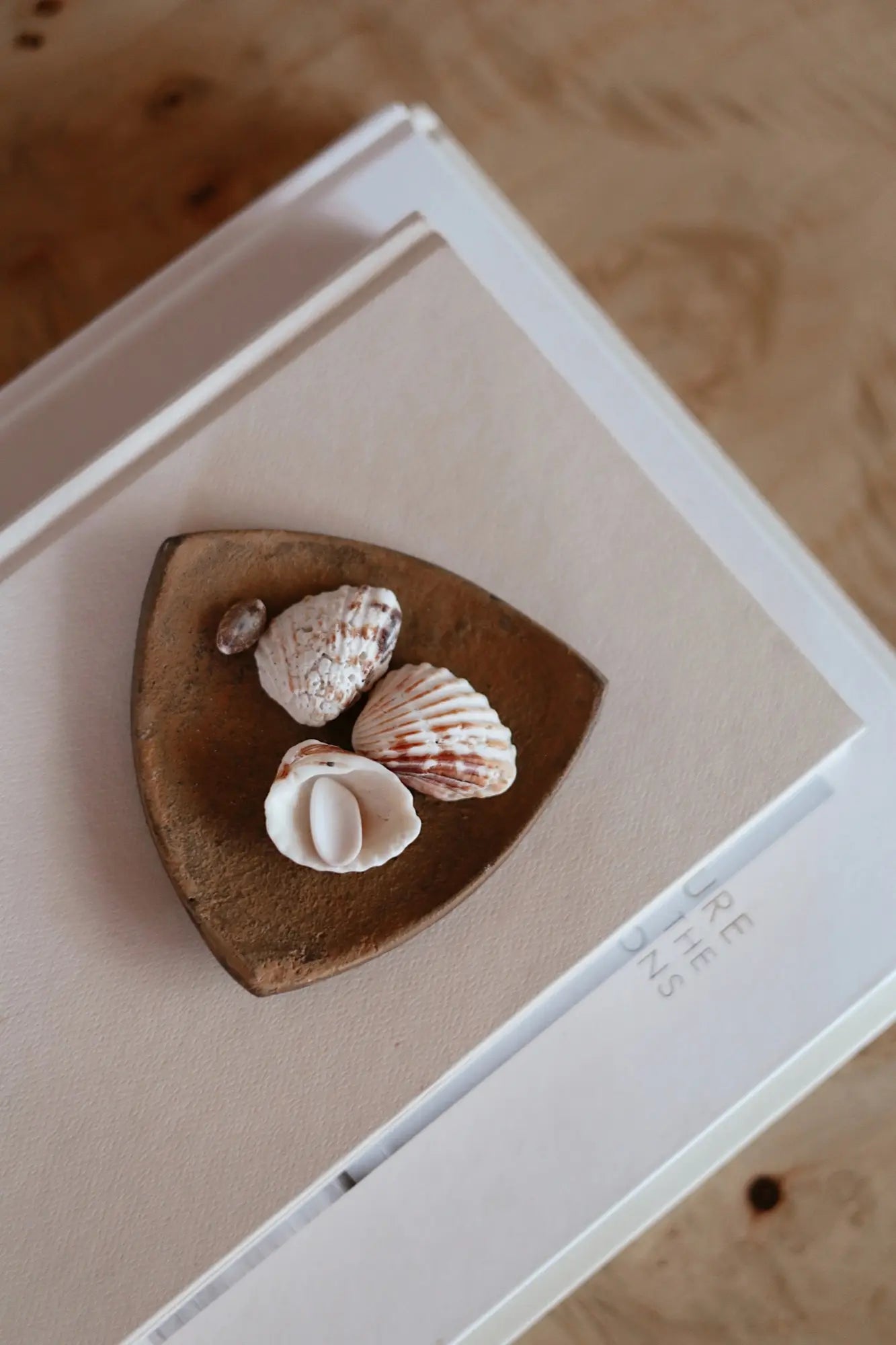 Rust Orion Aluminum Catchall Dish - Petite Thuet & Co.