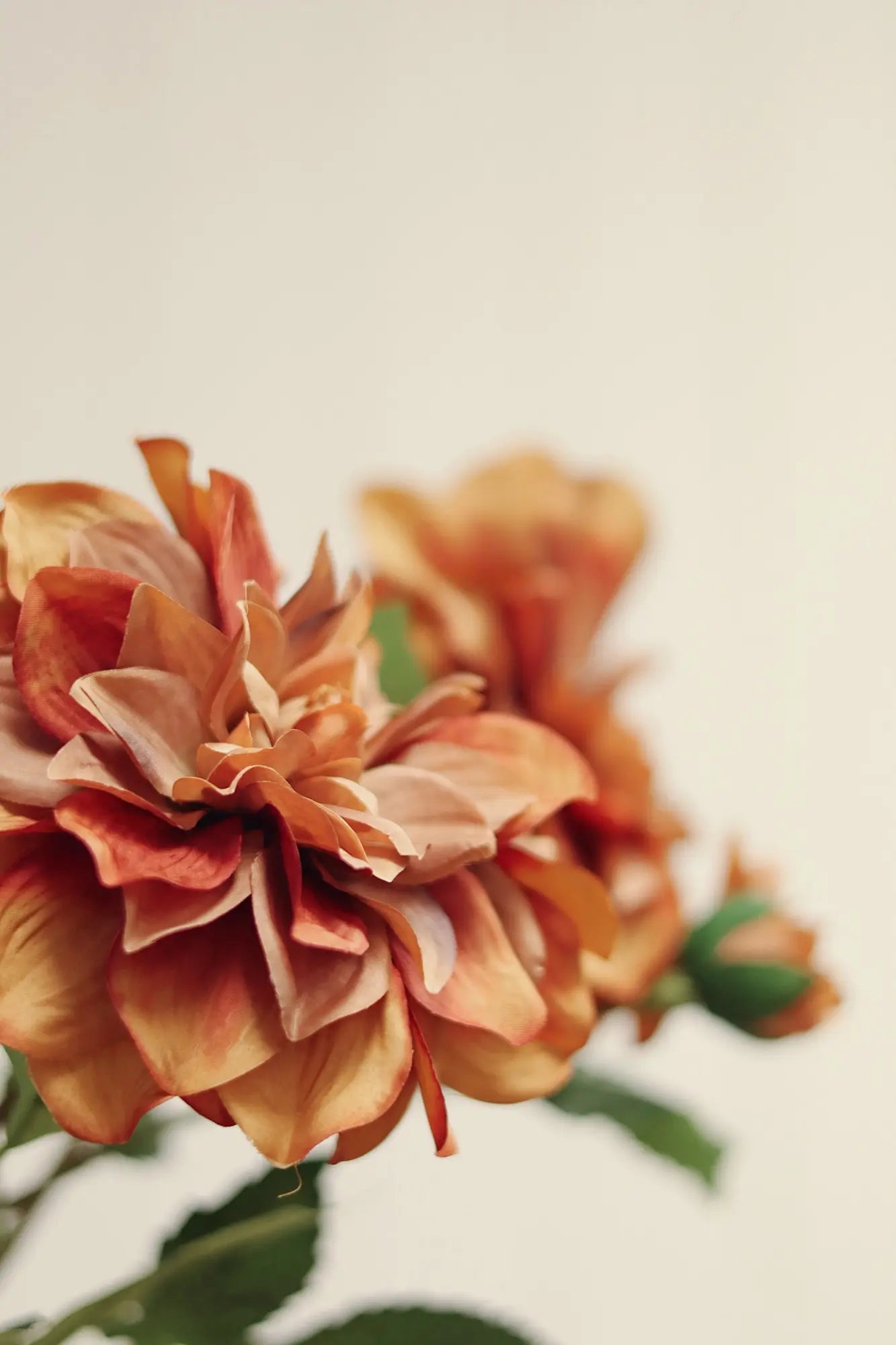 Terracotta Dahlia Floral Stem - Petite Thuet & Co.