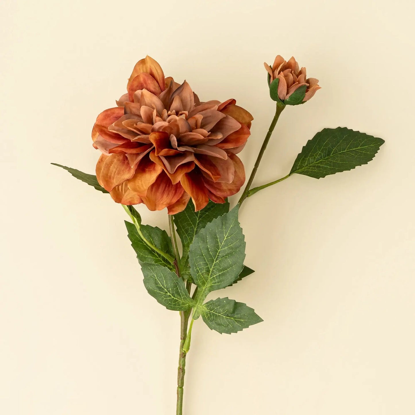 Terracotta Dahlia Floral Stem - Petite Thuet & Co.