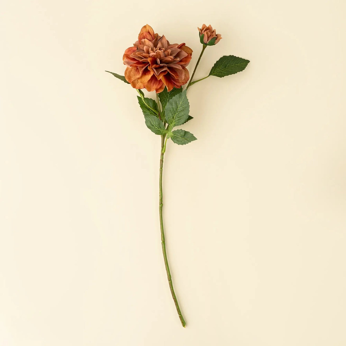Terracotta Dahlia Floral Stem - Petite Thuet & Co.