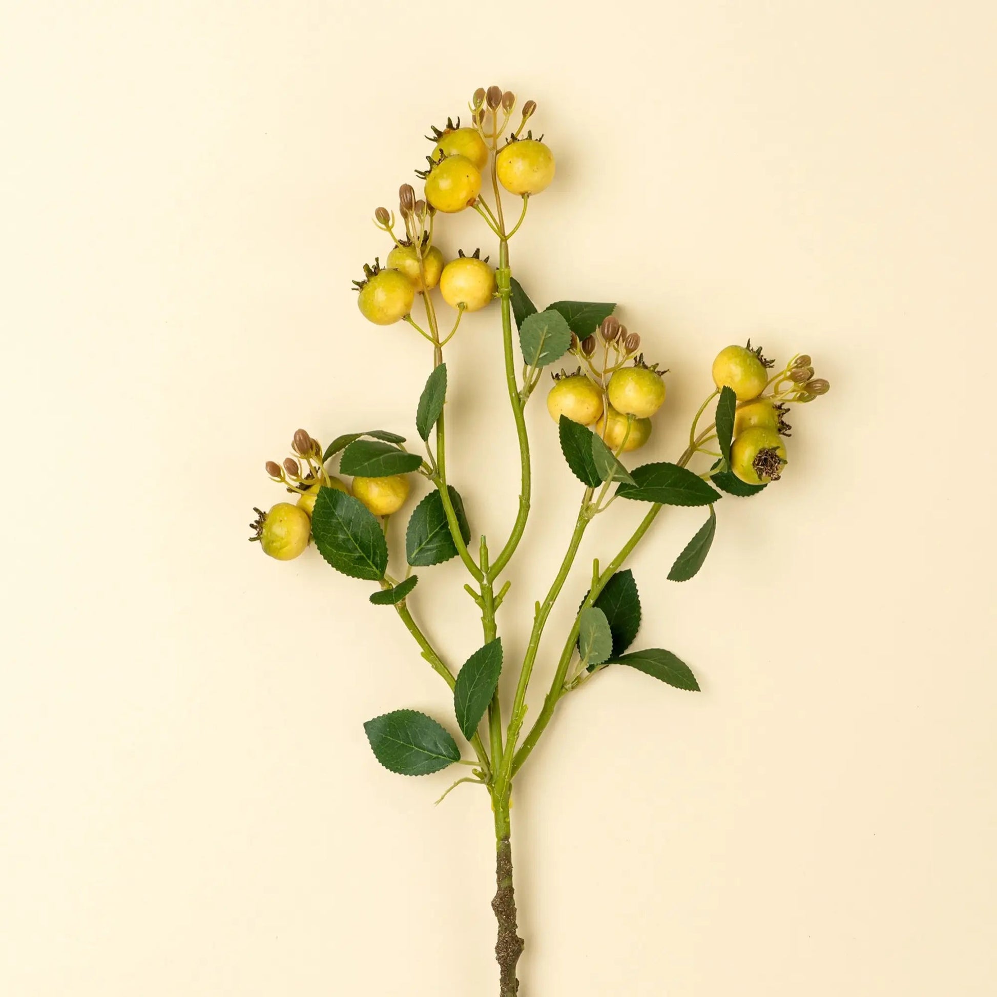 Yellow Rosehip Branch - Petite Thuet & Co.
