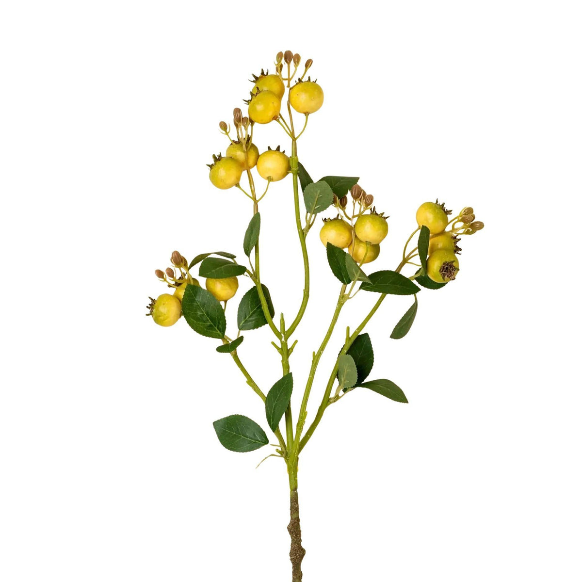 An artificial decorative branch featuring small yellow rosehip berries, green leaves, and brown stems on a solid white background.