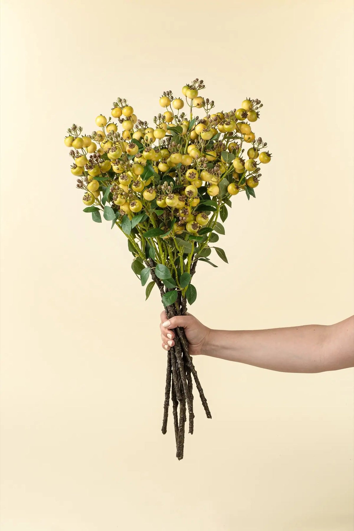 Yellow Rosehip Branch - Petite Thuet & Co.