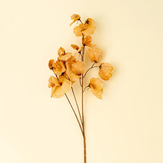 Yellow Sweet Pea Floral Stem - Petite Thuet & Co.