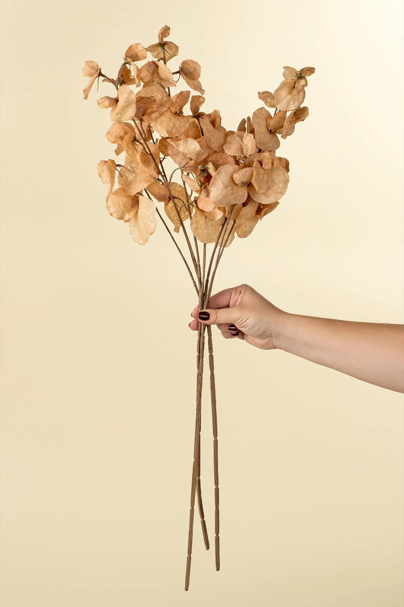 Yellow Sweet Pea Floral Stem - Petite Thuet & Co.